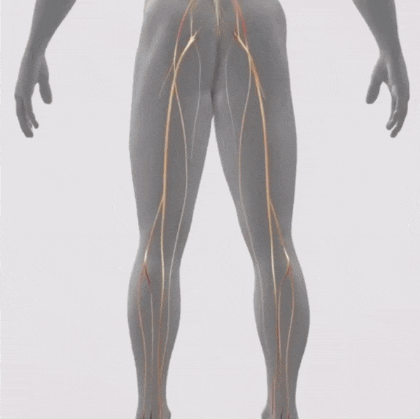 The Secret to Relief: LED Light Therapy Belt for Muscle and Leg Pain
