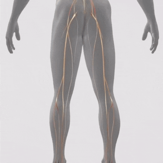 The Secret to Relief: LED Light Therapy Belt for Muscle and Leg Pain